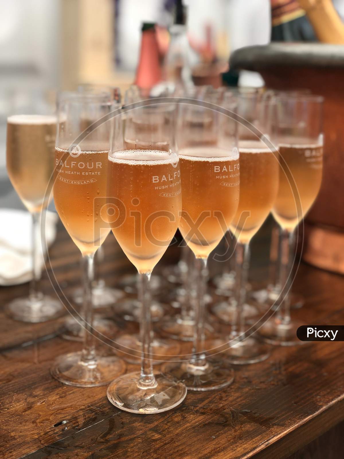 Champagne & Wine Stock Images Bundle