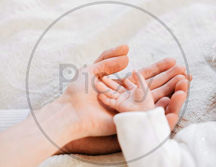 Cute Small Baby hands in her mom's hand