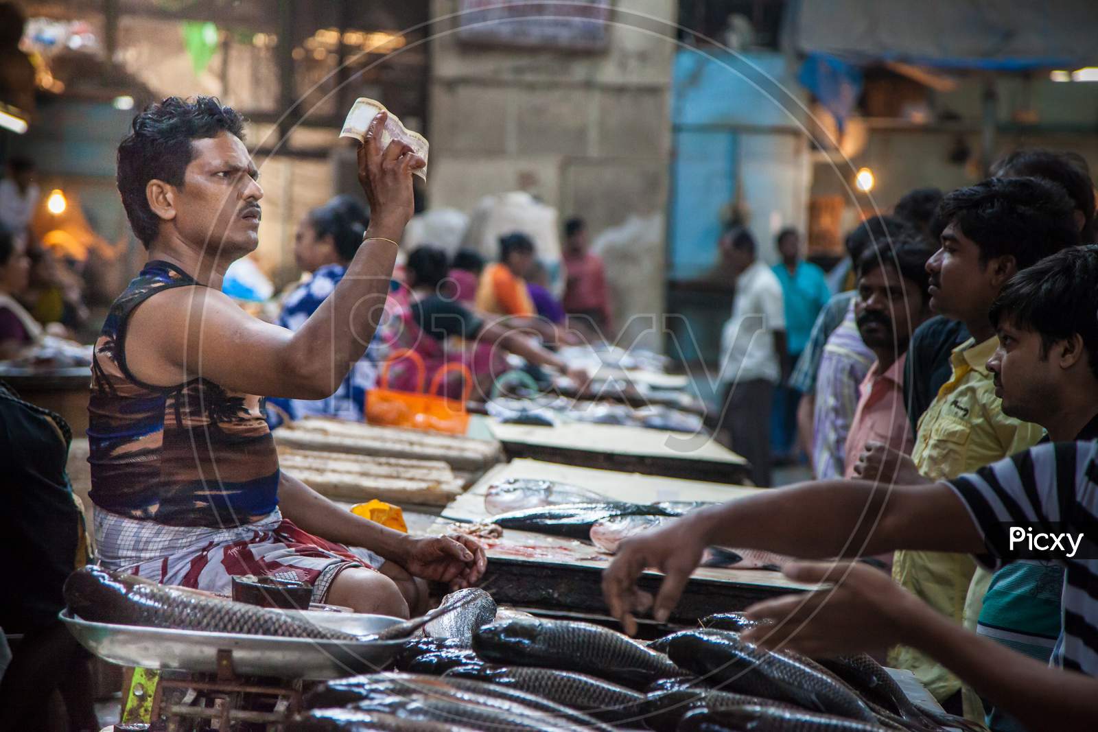 Mumbai Fish Market -Selling fish