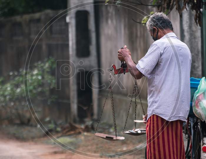Masked Old Fishermen Hand Holding A Scale, Balancing Fish And The Weight, Typical Way Of Measuring The Weight Of Fish In Major Parts Of Sri Lanka. The New Normal Way Of Doing Business.