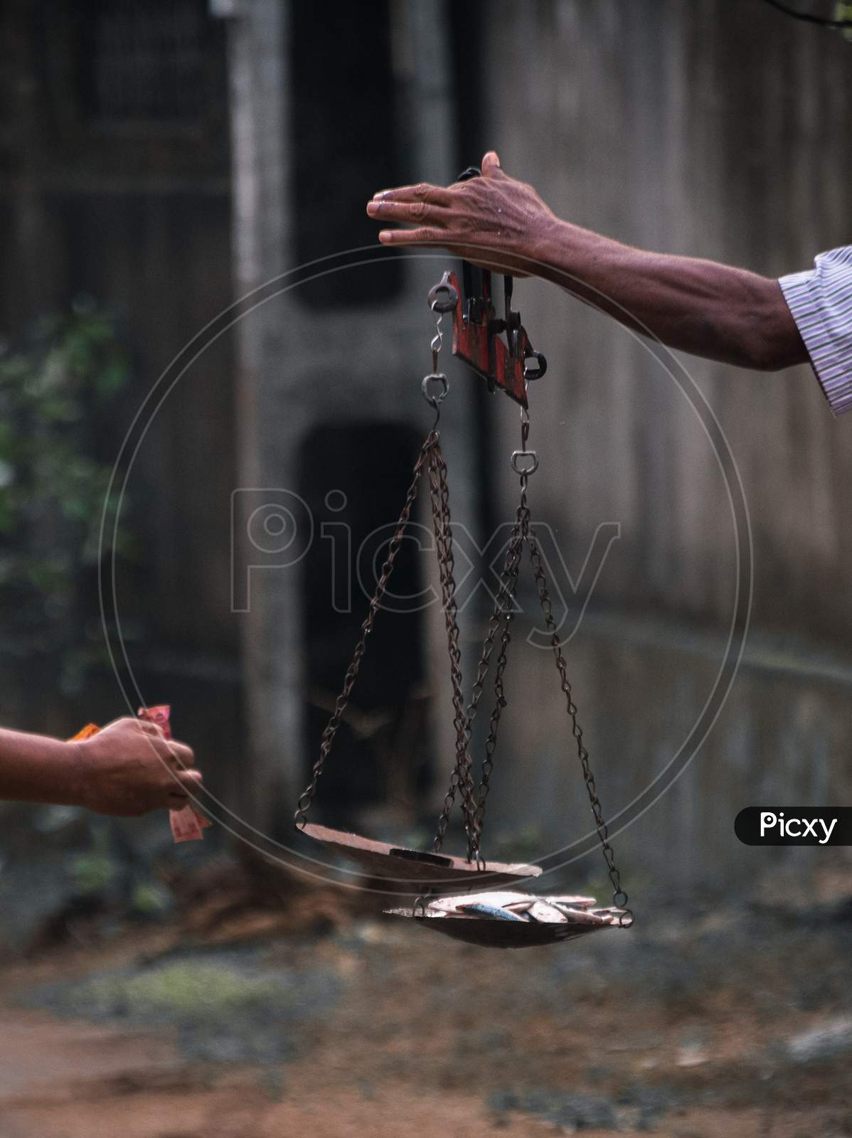 Fishermen Hand Holding A Scale, Balancing Fish And The Weight, Typical Way Of Measuring The Weight Of Fish In Major Parts Of Sri Lanka.