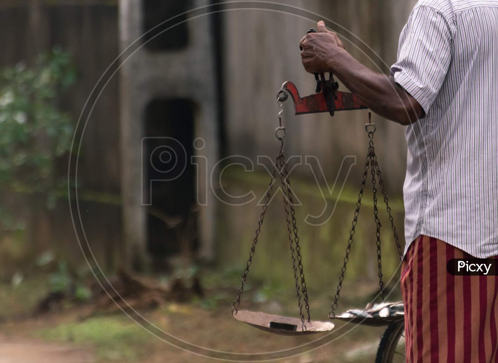 Fishermen Hand Holding A Scale, Balancing Fish And The Weight Close Up Photo, The Typical Way Of Measuring The Weight Of Fish In Major Parts Of Sri Lanka.