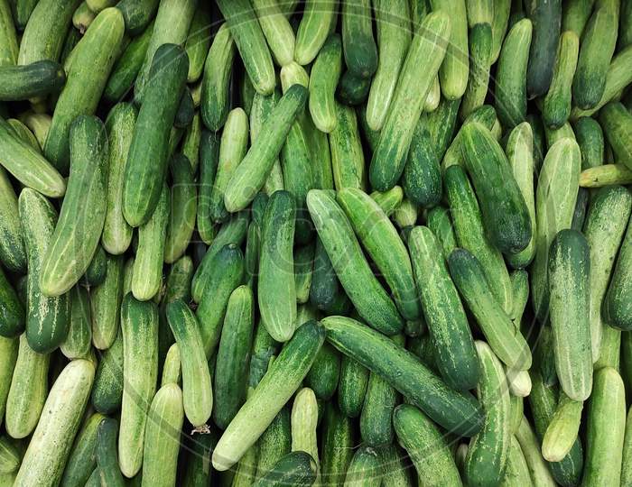 Fresh Cucumber From Market For Salad
