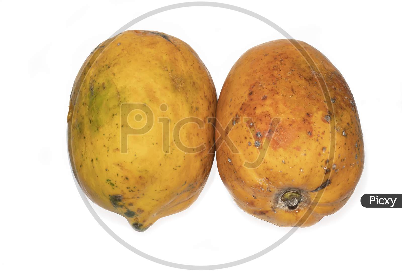 Rotten mango. Overripe Fruit on a white background.Isolated