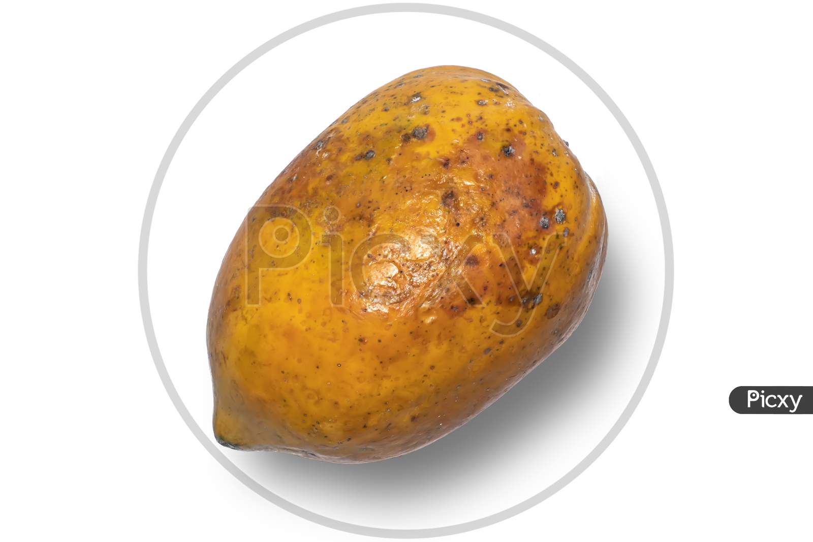 Rotten mango. Overripe Fruit on a white background.Isolated