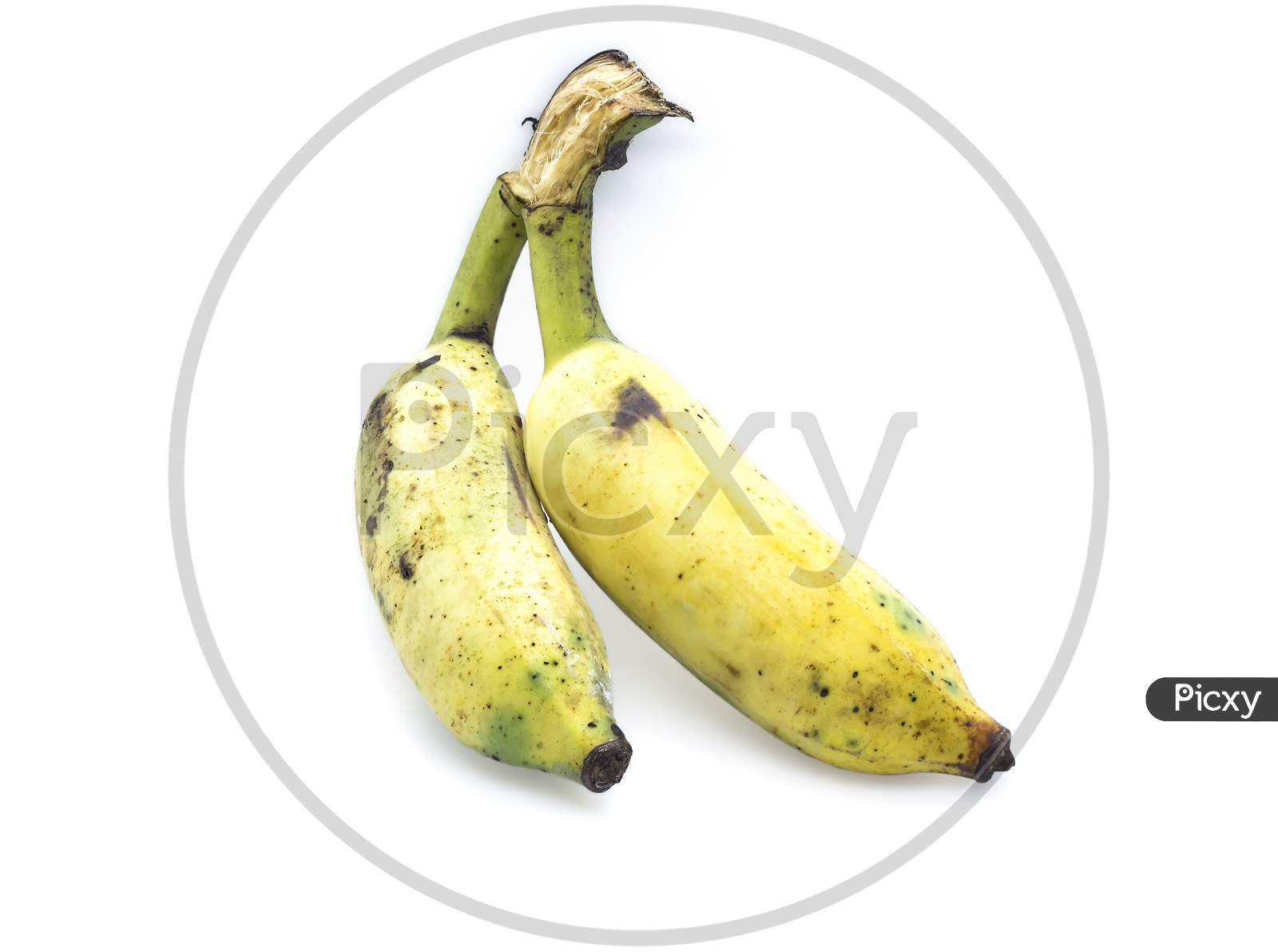 Bananas Isolated On White Background. Top View