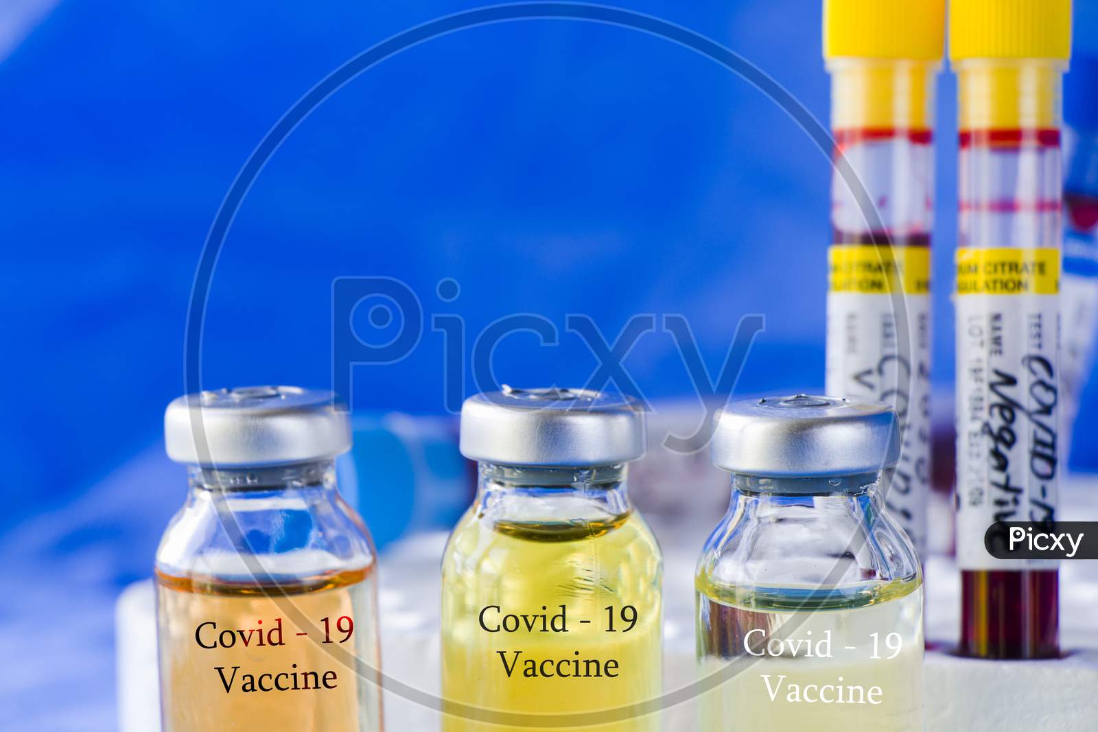 Corona Virus And Covid - 19 New Vaccine In Ampules And Blood Tube, Variations Of Vaccine