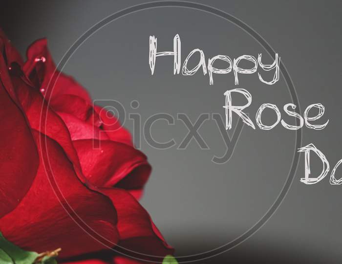 Illustration of Happy rose day with a closeup of red rose