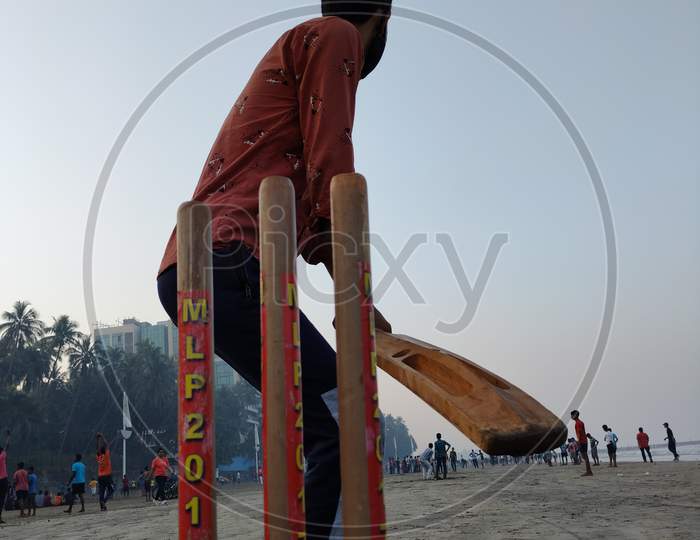 cricket is my love