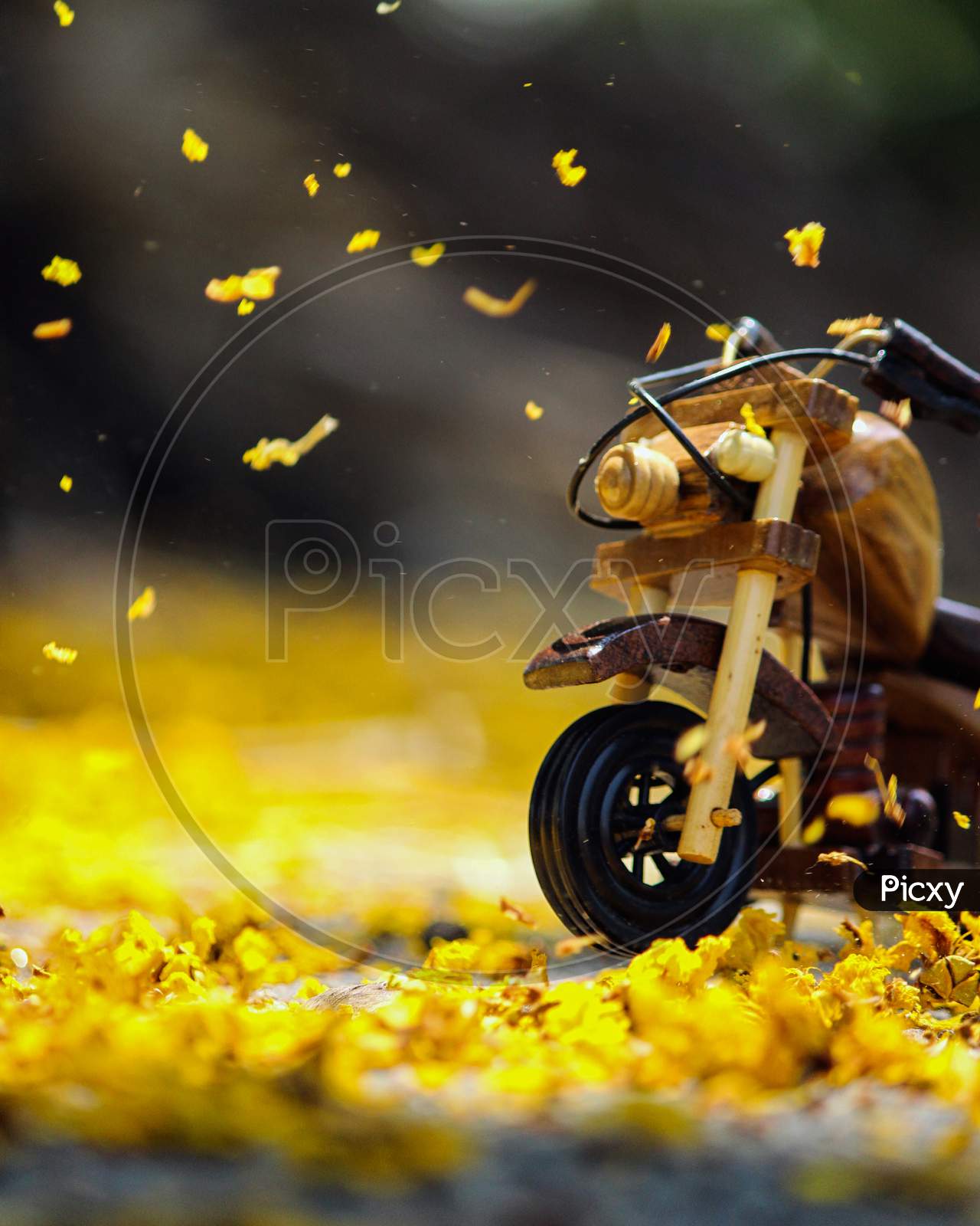 Vertical shot of motorcycle on road in autumn