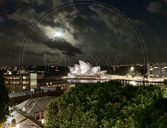 Magical Sydney nights
