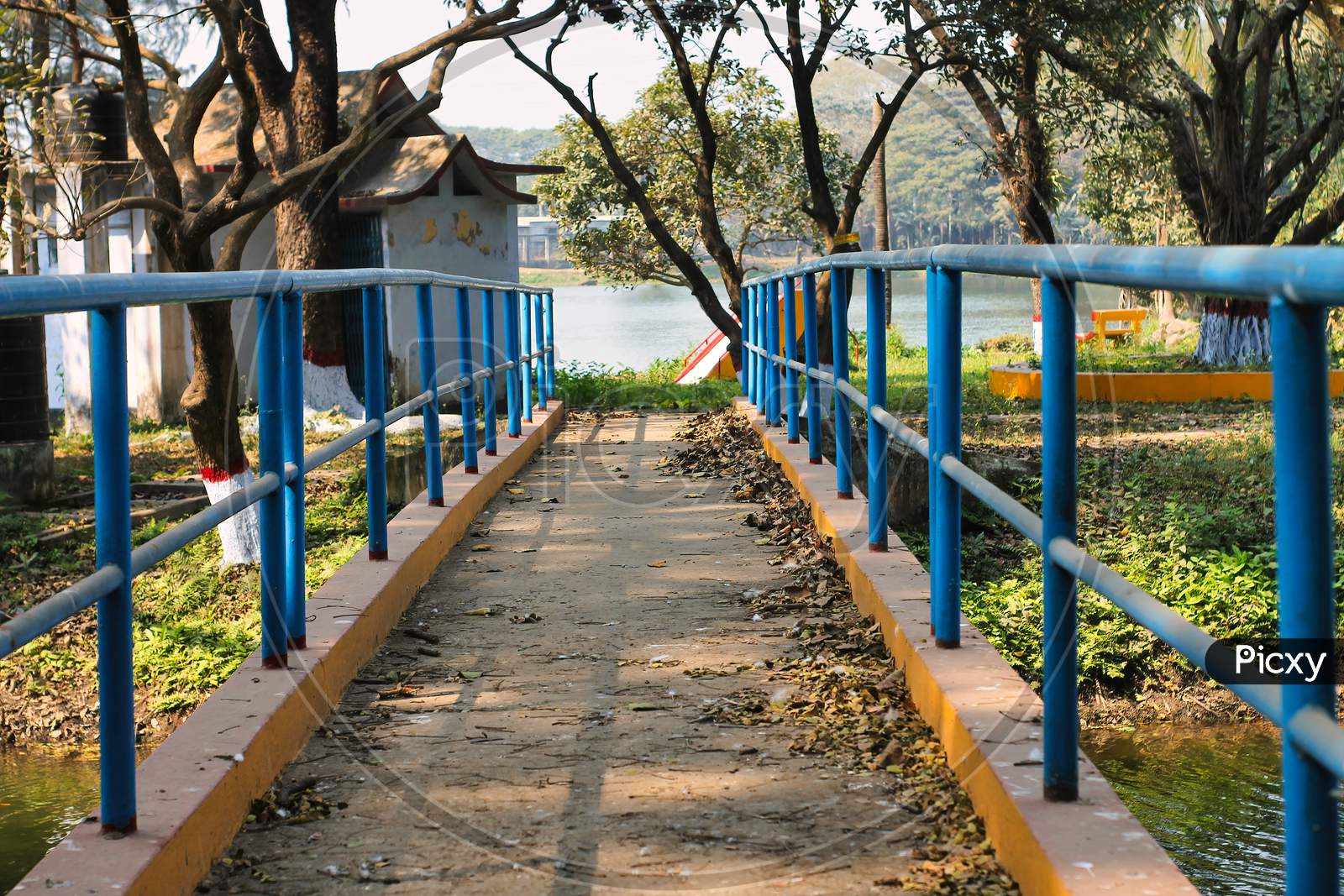 Beautiful Footbridge Over The Lake