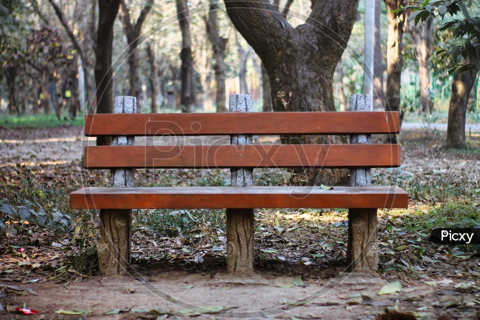 Old Wooden Empty Bench In Park, Front View. Natural Background.