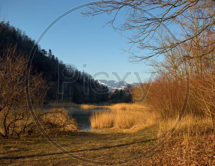 Heavenly Landscape In Oberriet In Switzerland 11.1.2021