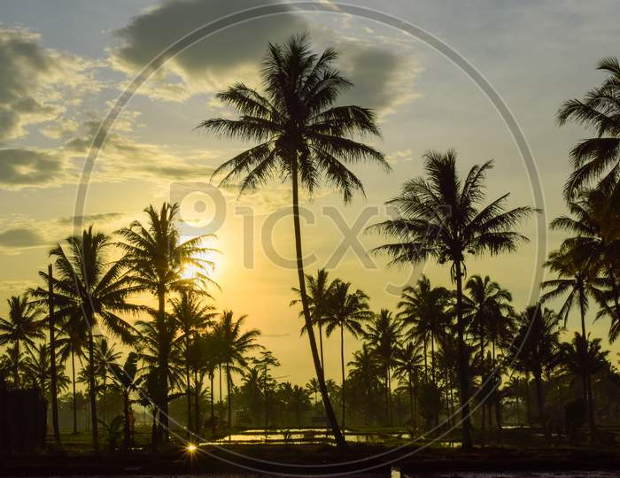 Beautiful beach view with cool trees