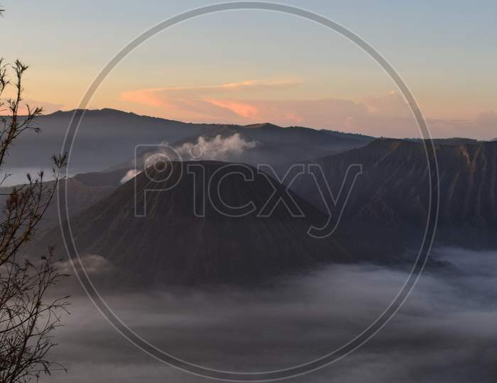 Mount Bromo is naturally misty and dusty which is very beautiful with an old tree as the foreground,Nature bromo volcano