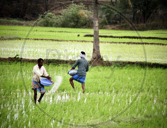 Indian Farmers.