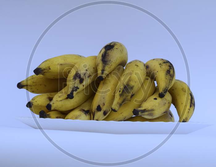 Heap Of Tasty Cardamom Banana Also Known As Elaichi Kela In Hindi. Yellow Banana Bunch On White Background
