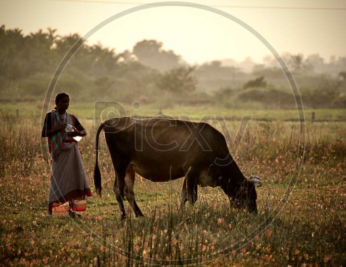 Indian Farmer.