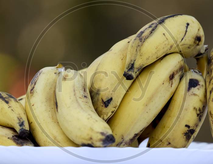 Selective Focus Of Bunch Of Tasty Cardamom Banana Also Known As Elaichi Kela In Hindi.