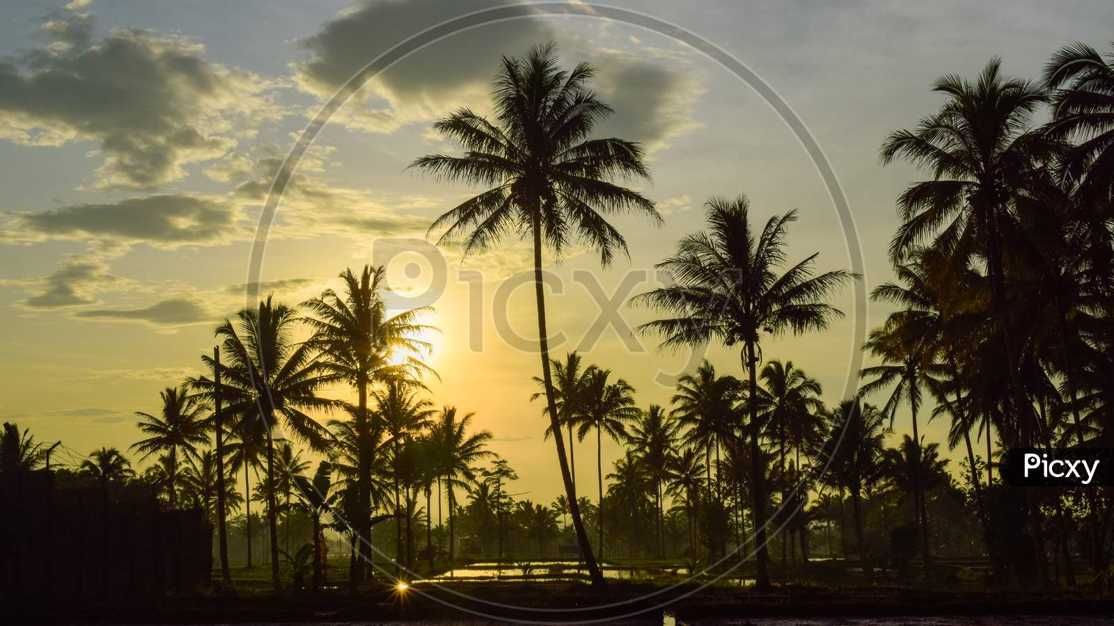 Beautiful beach view with cool trees