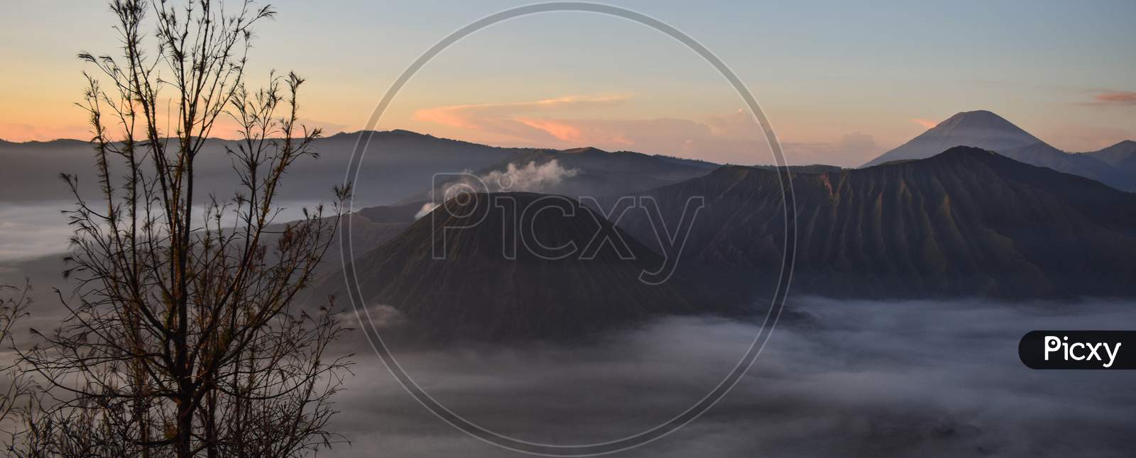 Mount Bromo is naturally misty and dusty which is very beautiful with an old tree as the foreground,Nature bromo volcano