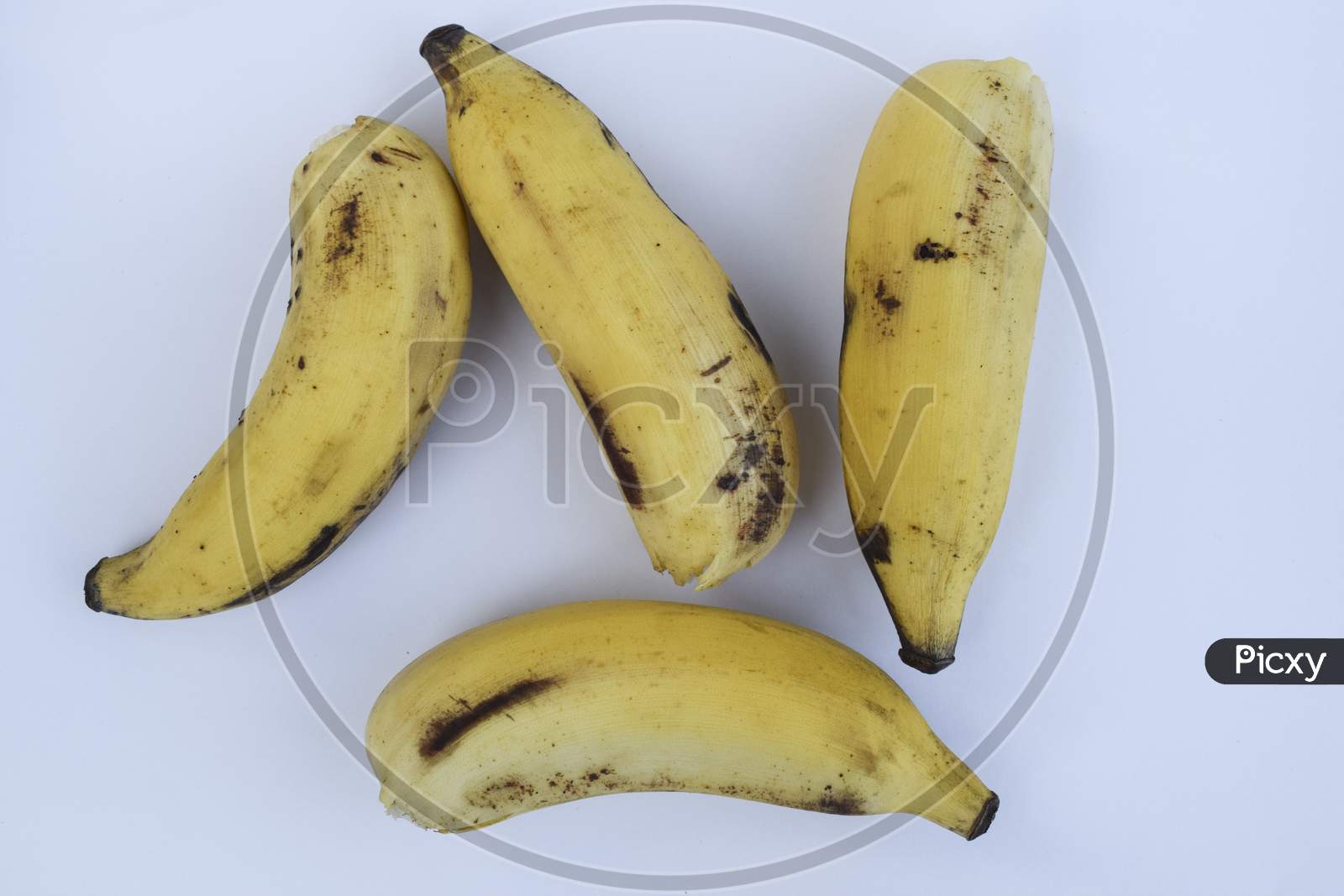 Small Size Yellow Bananas Tasty Cardamom Banana Also Known As Elaichi Kela In Hindi. Yellow Banana Bunch On White Background