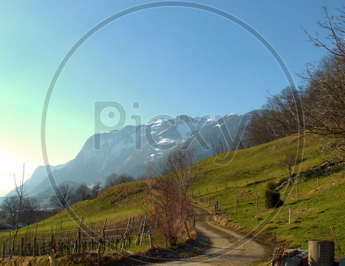 Heavenly Landscape In Oberriet In Switzerland 11.1.2021