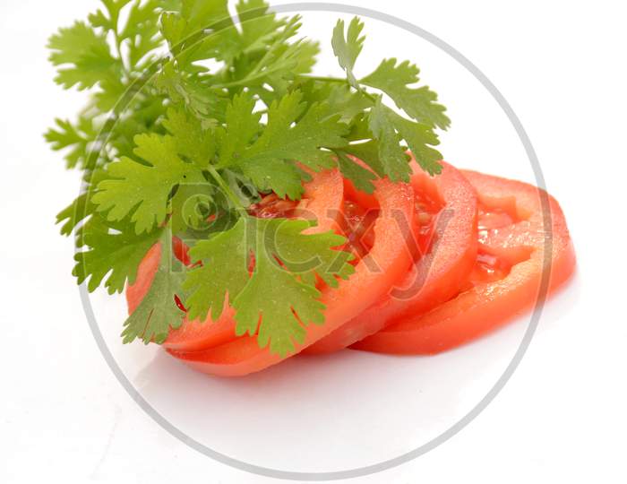 The Red Tomato With Green Coriander Isolated On White Background.
