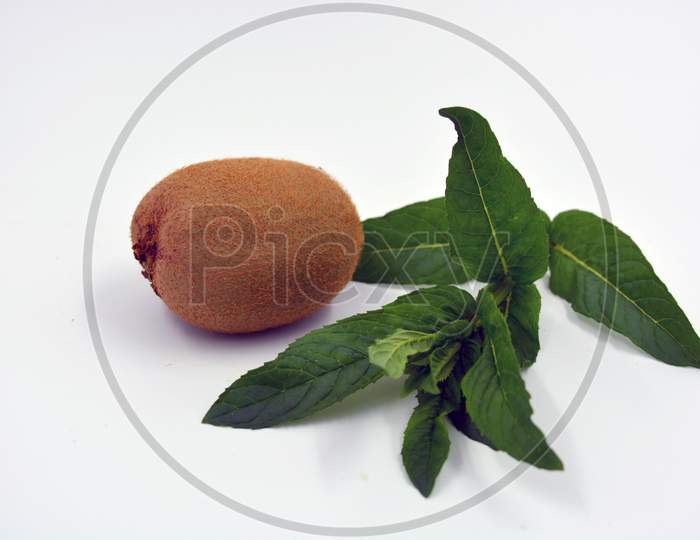 Healthy ripe delicious fruits for human health. Juicy brown kiwi fruit with large mint flakes. One whole piece of kiwi fruit with a lime branch are located on a white background.
