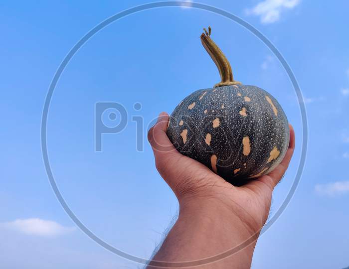South Indian Man Showing Cute Small Size Green Color Pumpkin. Cloud Background
