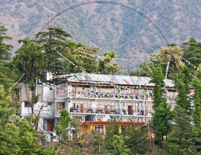 Mcleod Ganj, Dharamsala, Himachal Pradesh, India.