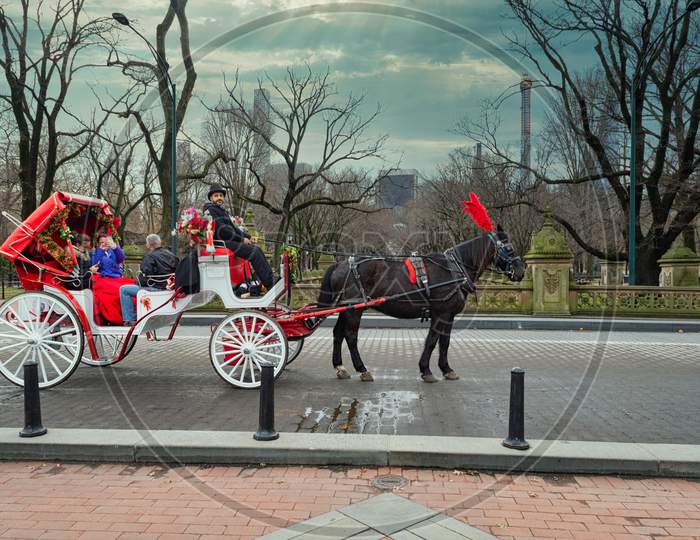 A horse and buggy carriage with coachman in Central Park New York city