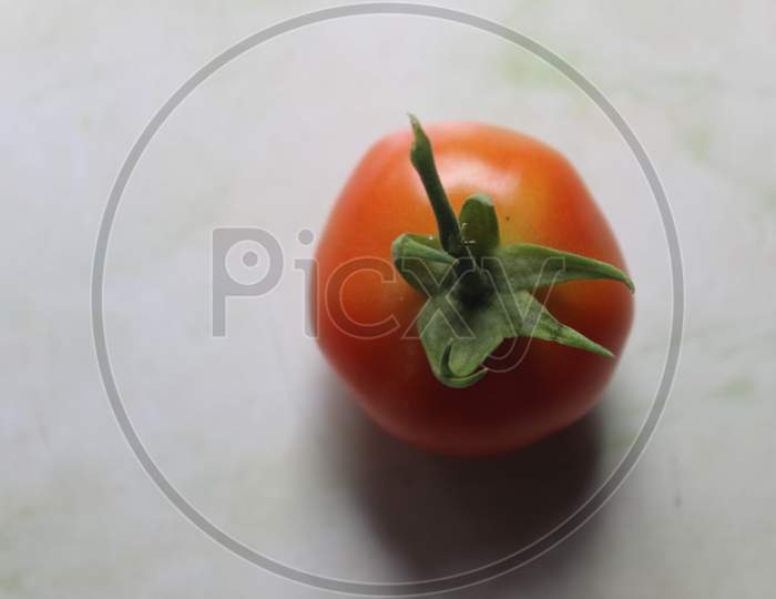 bush tomato