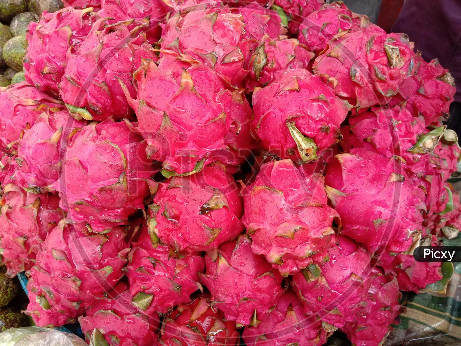 Tasty And Healthy Dragon Fruit Stock