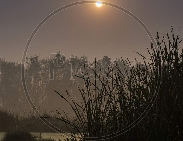 Beautiful Sunrise At Wet Land Near Kolkata
