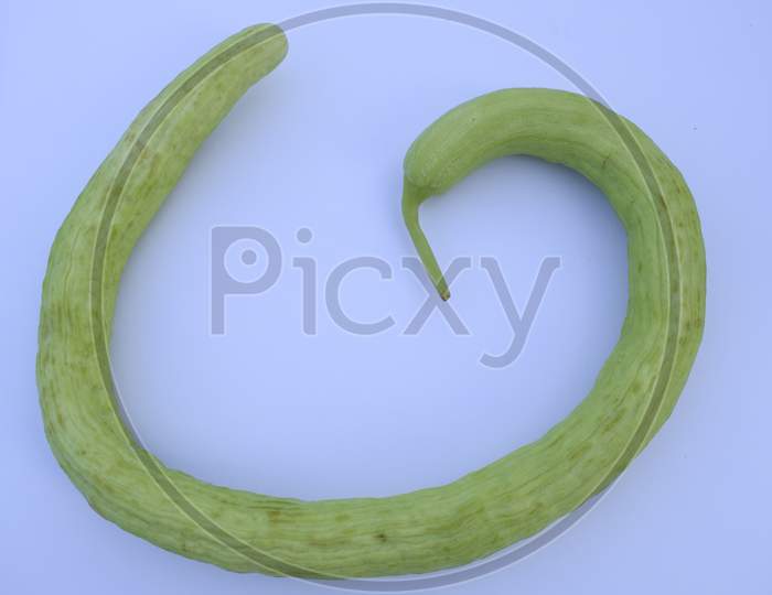 Yard-Long Snake Cucumbers Heap, Very Long Thin Curvy Light Green Cucumber Bunch On White Background.