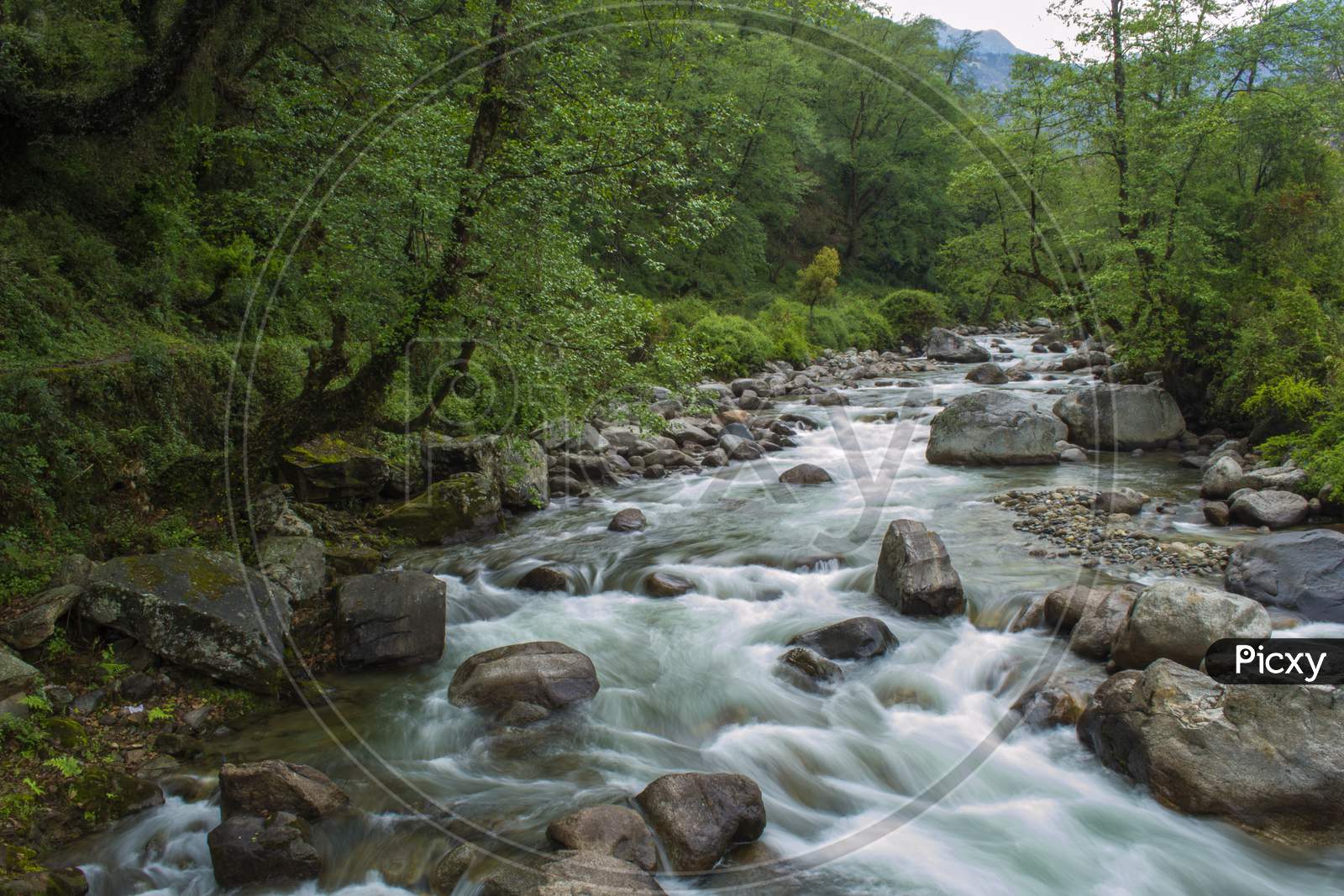 A Beautiful Mountain River Balkhila Flowing Through Rocks And Forest In A Small Village.