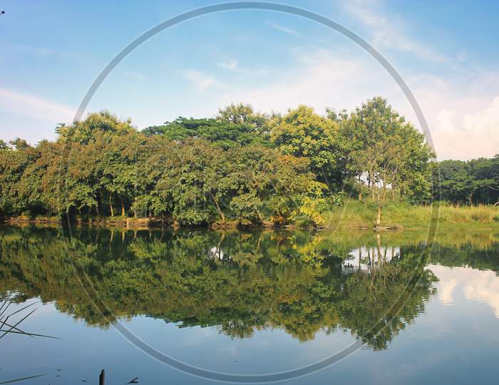 Landscape Of A Combination Of Green On The Shores Of The Lake. Trees Are Reflected In The Lake.