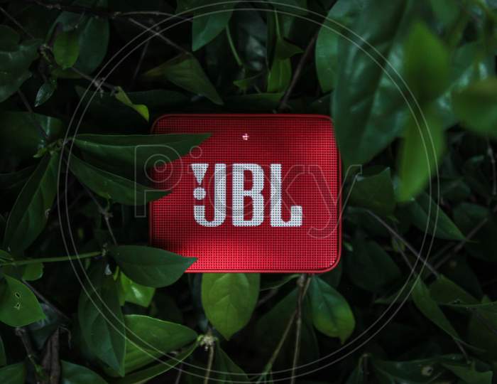 Beautiful JBL go 2 speaker on leafs