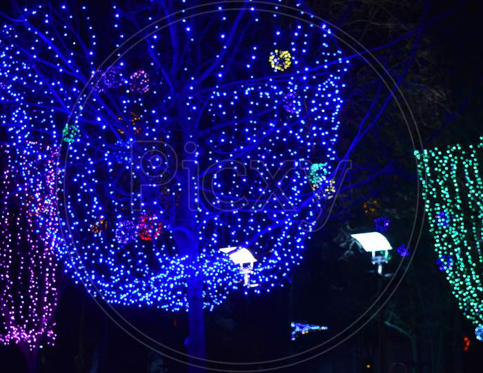 Merry New Year and Christmas garlands, luminous bulbs, diode lights are located on winter trees in the evening.