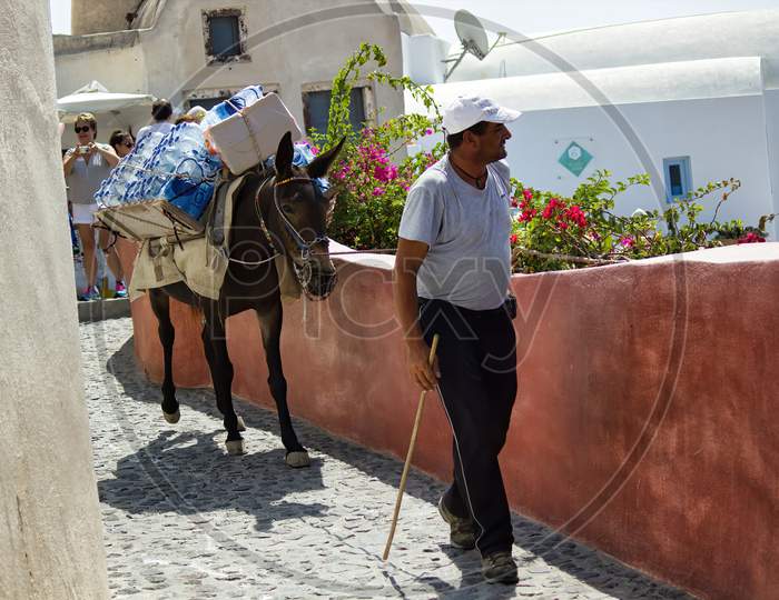 Santorini, Greece - September 11, 2017: A Man With A Donkey Carrying Goods In The Street Of Oia In Greek Touristic Island