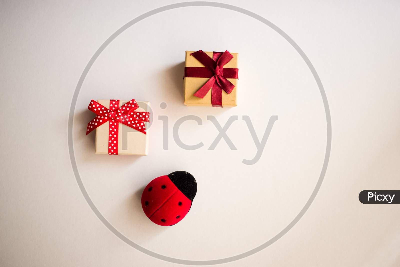 Two Gift Boxes With Tied Decorative Bow And Red Ribbon And One Red Ladybug