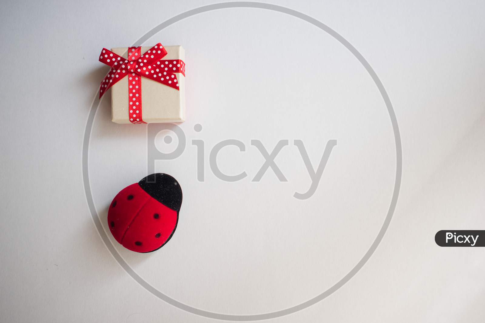 Gift Box With Tied Decorative Bow And Red Ribbon And One Red Ladybug