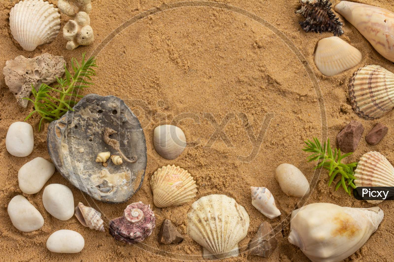 Seashells And Beach Stones On The Sand On A Sunny Day. Marine Items On A Beach While On Vacation.