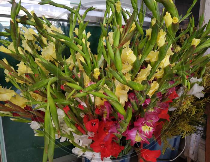 Colorful orchid flowers gathers together in a pot in a flower shop.