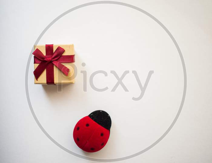 Gift Box With Tied Decorative Bow And Red Ribbon And One Red Ladybug