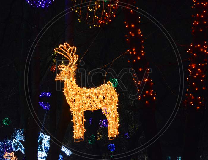 Large golden sleigh of Santa Claus with luminous deer weighing between winter trees in the city park of Dnipro, Ukraine. Bright colorful New Year and Christmas decorations made of diodes, light bulbs.