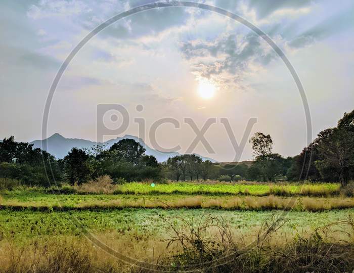Landscapes of farms.Indian village view.