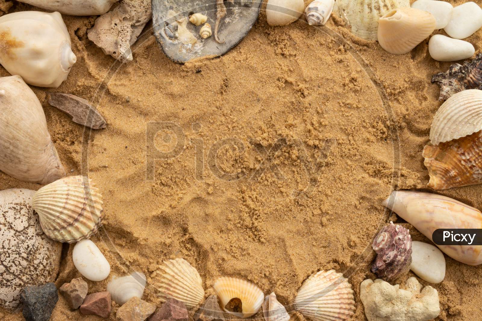 Seashells And Beach Stones On The Sand On A Sunny Day. Marine Items On A Beach While On Vacation.